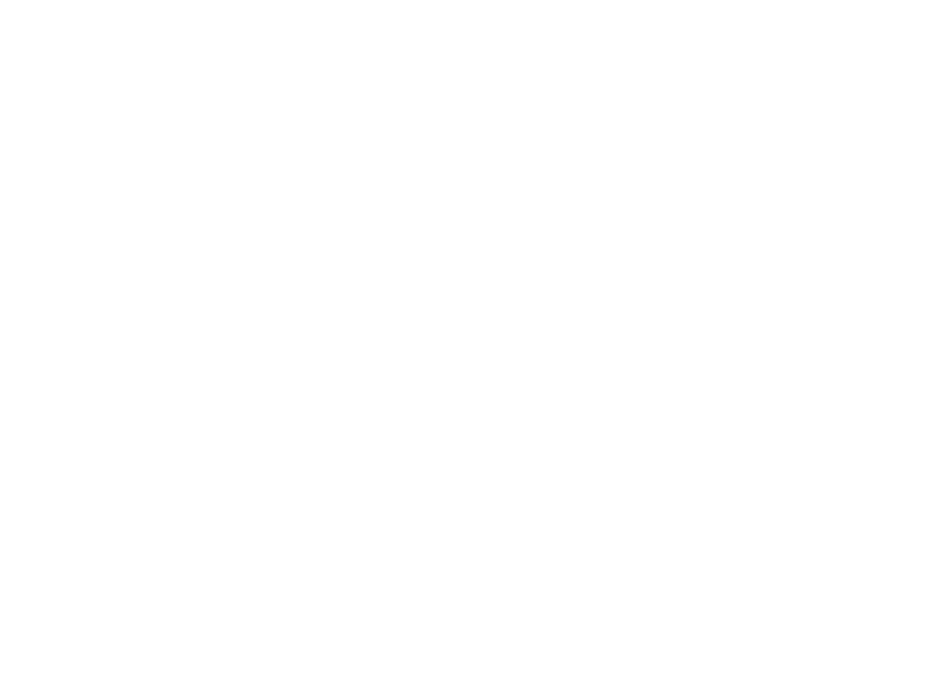 SISGA